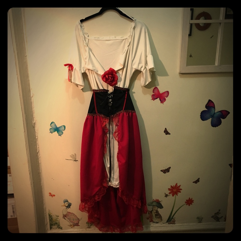 Sexy Senorita costume